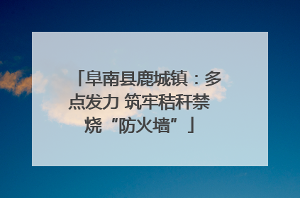 阜南县鹿城镇：多点发力 筑牢秸秆禁烧“防火墙”