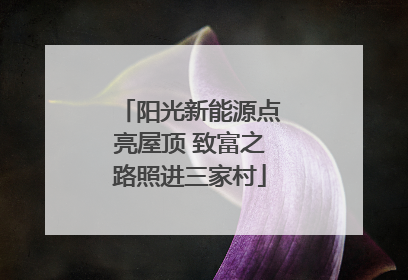 阳光新能源点亮屋顶 致富之路照进三家村