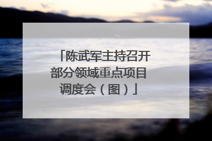陈武军主持召开部分领域重点项目调度会（图）