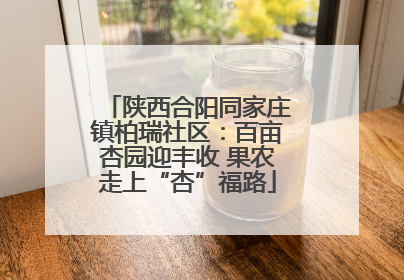 陕西合阳同家庄镇柏瑞社区：百亩杏园迎丰收 果农走上“杏”福路