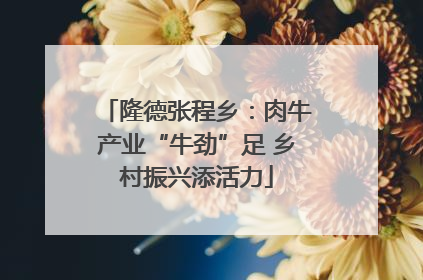 隆德张程乡：肉牛产业“牛劲”足 乡村振兴添活力