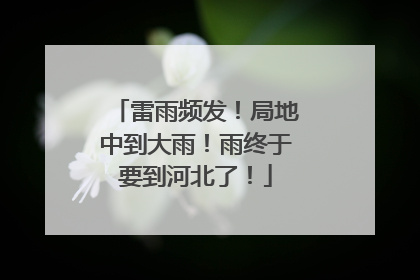 雷雨频发！局地中到大雨！雨终于要到河北了！