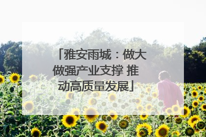 雅安雨城：做大做强产业支撑 推动高质量发展