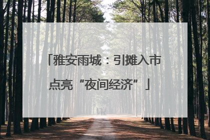 雅安雨城：引摊入市 点亮“夜间经济”