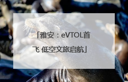 雅安：eVTOL首飞 低空文旅启航