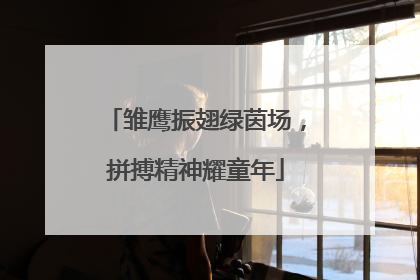 雏鹰振翅绿茵场，拼搏精神耀童年