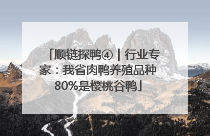 顺链探鸭④｜行业专家：我省肉鸭养殖品种80%是樱桃谷鸭