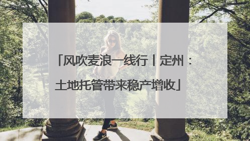 风吹麦浪一线行丨定州：土地托管带来稳产增收
