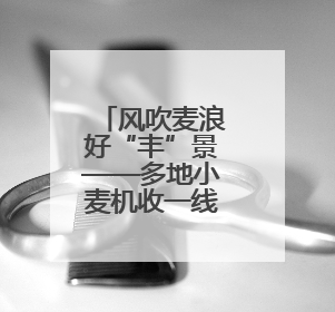 风吹麦浪好“丰”景——多地小麦机收一线见闻