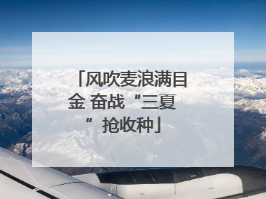 风吹麦浪满目金 奋战“三夏”抢收种