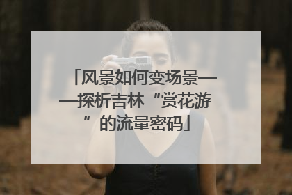 风景如何变场景——探析吉林“赏花游”的流量密码