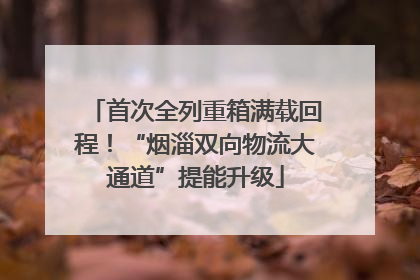 首次全列重箱满载回程！“烟淄双向物流大通道”提能升级