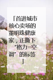 首进城市核心卖场的董明珠健康家，正撕下“格力=空调”的标签