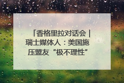 香格里拉对话会｜瑞士媒体人：美国施压盟友“极不理性” 欧洲国家无意与中国“脱钩断链”