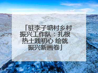 驻李子塘村乡村振兴工作队：扎根热土践初心 绘就振兴新画卷