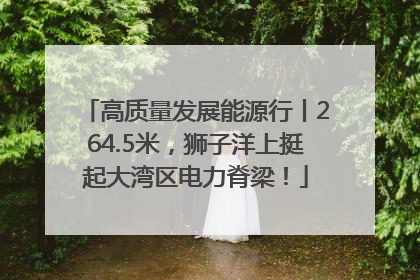 高质量发展能源行丨264.5米，狮子洋上挺起大湾区电力脊梁！