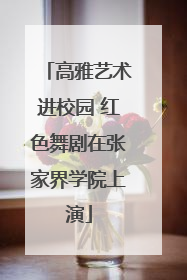 高雅艺术进校园 红色舞剧在张家界学院上演