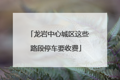 龙岩中心城区这些路段停车要收费