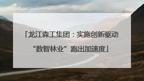 龙江森工集团：实施创新驱动 “数智林业”跑出加速度