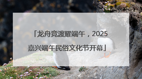 龙舟竞渡耀端午，2025嘉兴端午民俗文化节开幕