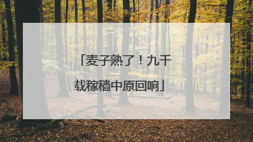 麦子熟了！九千载稼穑中原回响