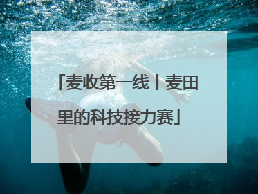 麦收第一线丨麦田里的科技接力赛