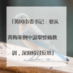 黄冈市委书记：要从黄梅案例中汲取惨痛教训，深刻检讨反思