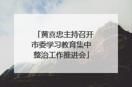 黄喜忠主持召开市委学习教育集中整治工作推进会