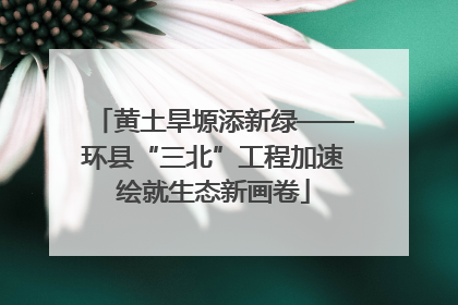 黄土旱塬添新绿——环县“三北”工程加速绘就生态新画卷
