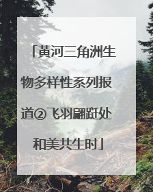 黄河三角洲生物多样性系列报道②飞羽翩跹处 和美共生时
