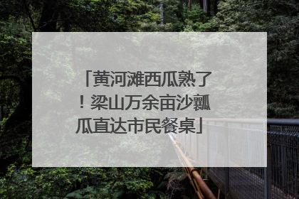 黄河滩西瓜熟了！梁山万余亩沙瓤瓜直达市民餐桌