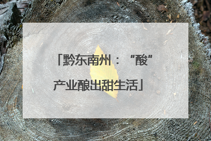 黔东南州：“酸”产业酿出甜生活