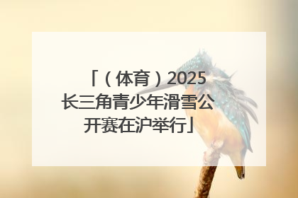 （体育）2025长三角青少年滑雪公开赛在沪举行