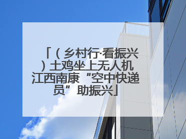 （乡村行·看振兴）土鸡坐上无人机 江西南康“空中快递员”助振兴