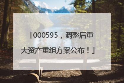 000595，调整后重大资产重组方案公布！