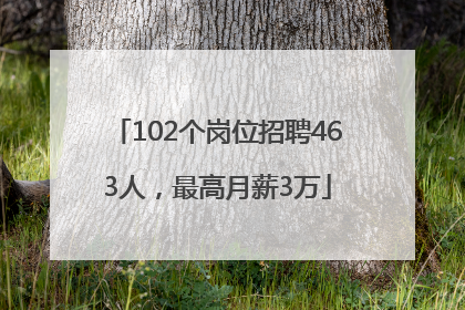 102个岗位招聘463人，最高月薪3万