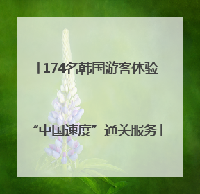 174名韩国游客体验“中国速度”通关服务