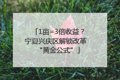 1亩=3倍收益？宁夏兴庆区解锁改革“黄金公式”