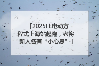 2025FE电动方程式上海站起跑，老将新人各有“小心思”
