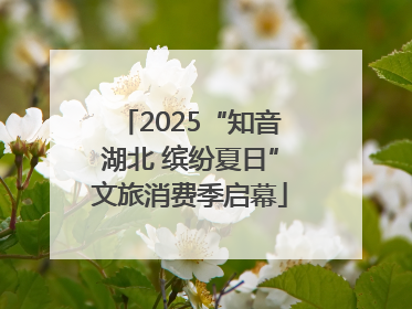 2025“知音湖北 缤纷夏日”文旅消费季启幕