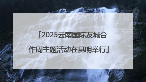 2025云南国际友城合作周主题活动在昆明举行