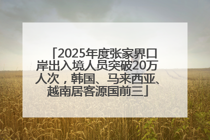 2025年度张家界口岸出入境人员突破20万人次，韩国、马来西亚、越南居客源国前三