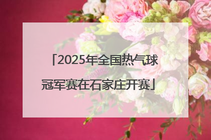 2025年全国热气球冠军赛在石家庄开赛