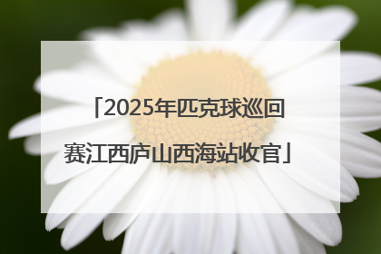 2025年匹克球巡回赛江西庐山西海站收官