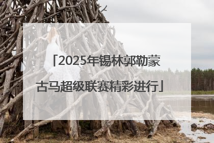 2025年锡林郭勒蒙古马超级联赛精彩进行