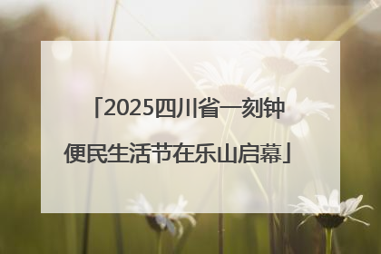 2025四川省一刻钟便民生活节在乐山启幕