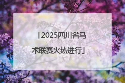 2025四川省马术联赛火热进行