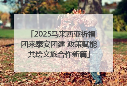 2025马来西亚祈福团来泰安团建 政策赋能共绘文旅合作新篇