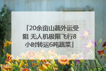 20余亩山蔬外运受阻 无人机极限飞行8小时转运6吨蔬菜