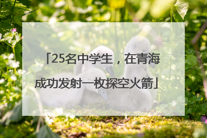 25名中学生，在青海成功发射一枚探空火箭